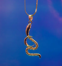 Load image into Gallery viewer, Serpent Moon Necklace
